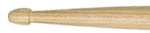 Premium Hornbeam Germany 5B