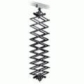 Pantograph Top 40